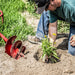 man planting a flower from using the 3 gallon Rapid Fire Planting Augers